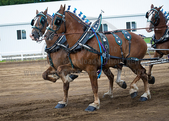 2016_Saratoga_SCL_4732