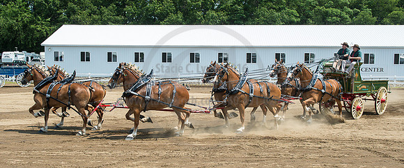2016_Saratoga_SCL_5016