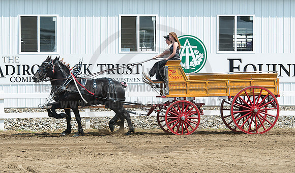 2016_Saratoga_SCL_5164