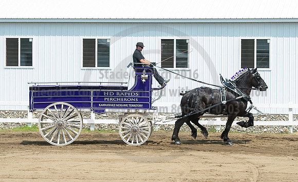 2016_Saratoga_SCL_5173