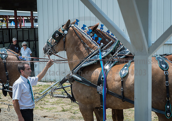 2016_Saratoga_SCL_4984