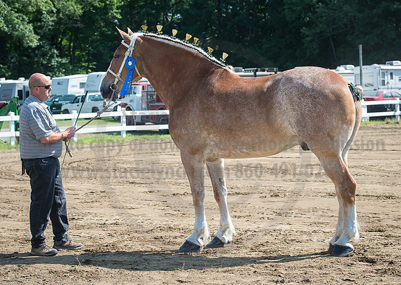 2016_Saratoga_SCL_4980