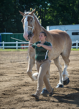 2016_Saratoga_SCL_4939