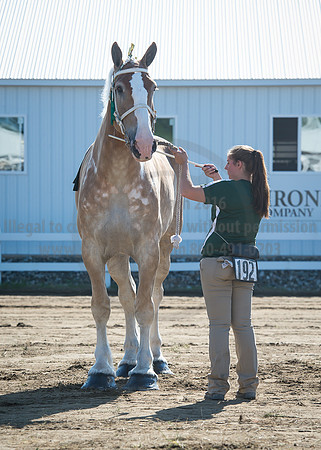2016_Saratoga_SCL_4913
