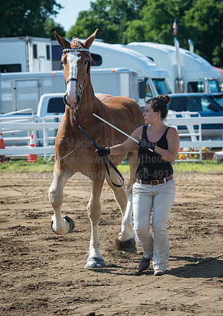 2016_Saratoga_SCL_4951