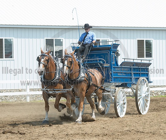 2016_Saratoga_SCL_5170