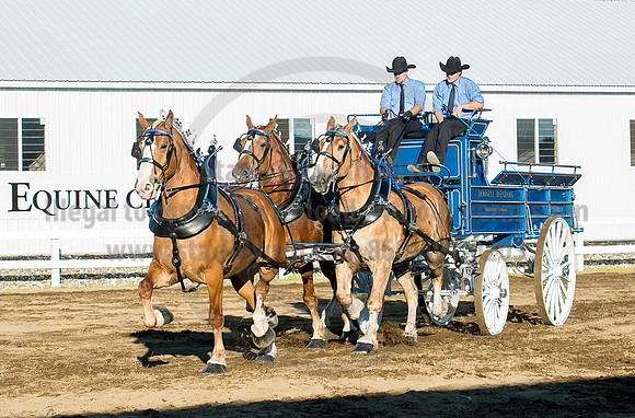 2016_Saratoga_SCL_4898