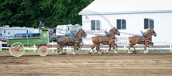 2016_Saratoga_SCL_4735