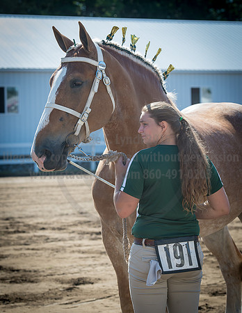 2016_Saratoga_SCL_4922