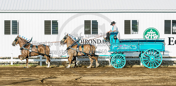 2016_Saratoga_SCL_4868