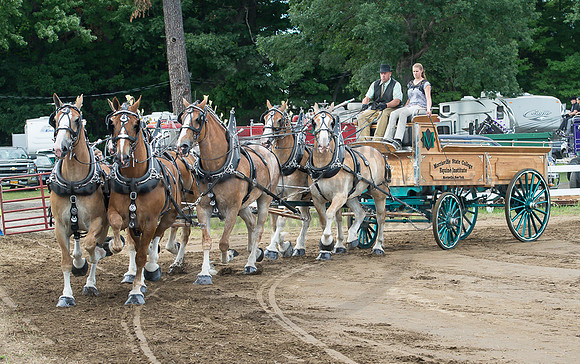 2016_Saratoga_SCL_4720