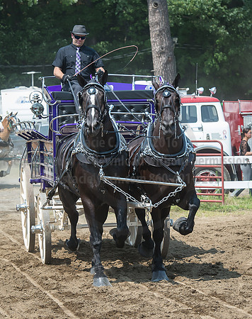 2016_Saratoga_SCL_5159