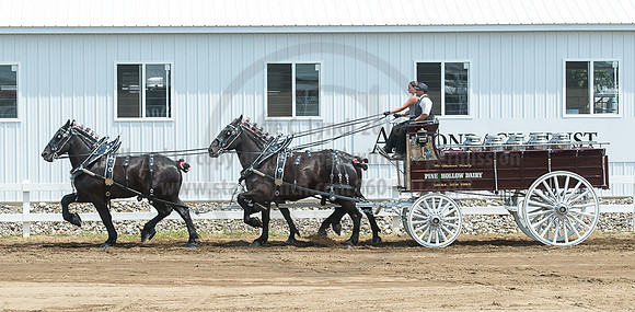 2016_Saratoga_SCL_5080