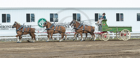 2016_Saratoga_SCL_4709