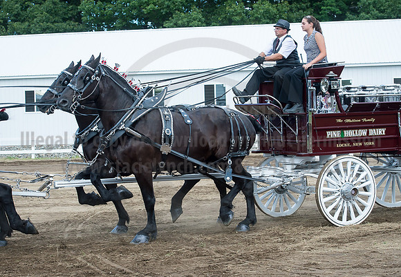 2016_Saratoga_SCL_4778