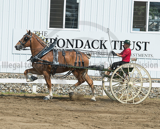 2016_Saratoga_SCL_5202