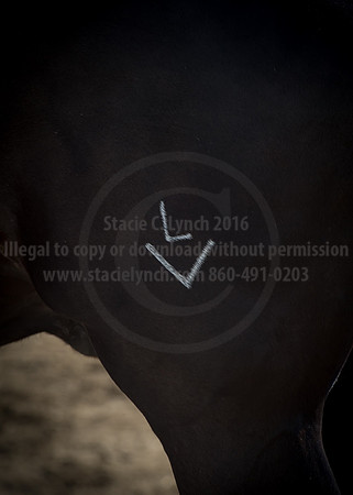 2016_Saratoga_SCL_4943