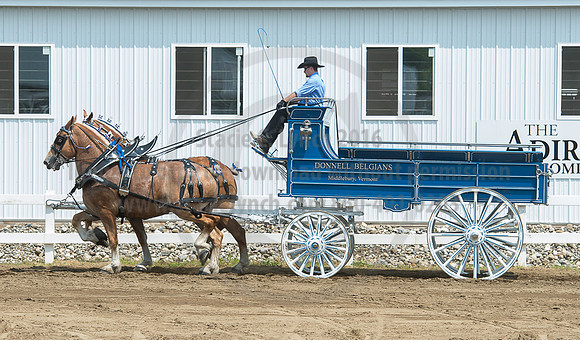 2016_Saratoga_SCL_5161