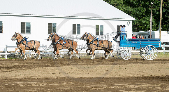 2016_Saratoga_SCL_4759
