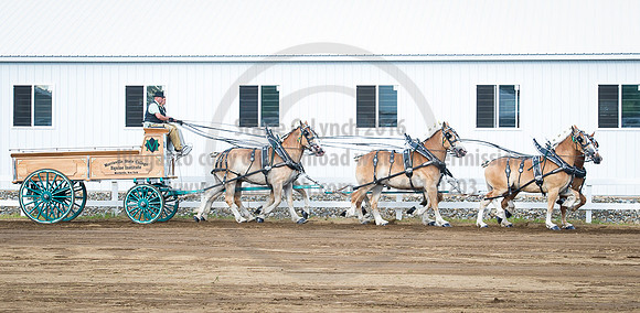 2016_Saratoga_SCL_4743