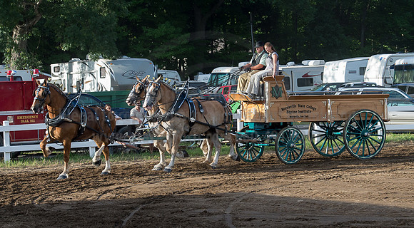 2016_Saratoga_SCL_4867