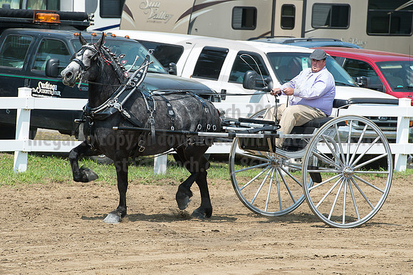 2016_Saratoga_SCL_5184