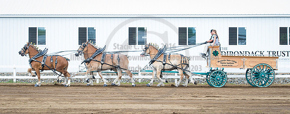 2016_Saratoga_SCL_4723