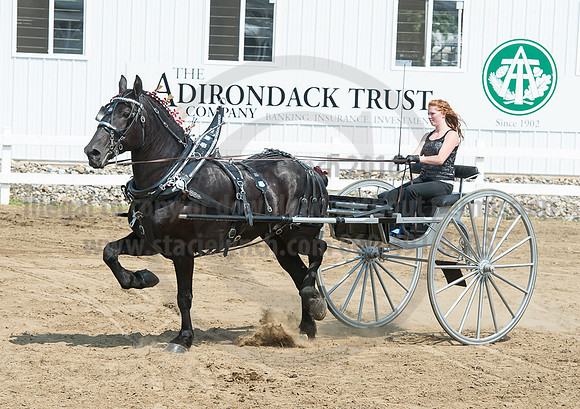 2016_Saratoga_SCL_5198