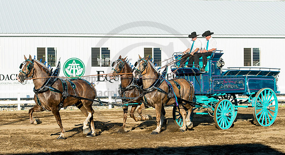 2016_Saratoga_SCL_4905