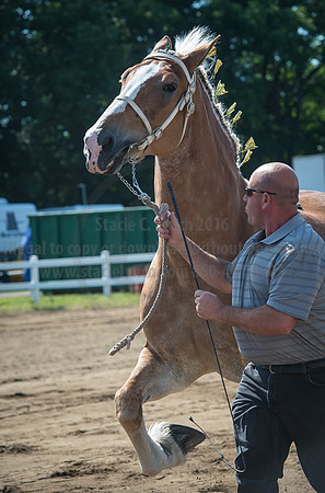 2016_Saratoga_SCL_4970