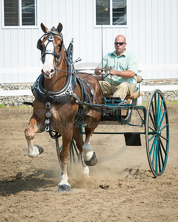 2016_Saratoga_SCL_5233