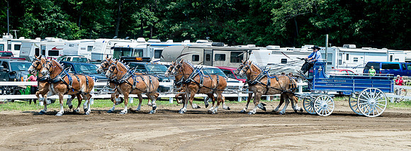 2016_Saratoga_SCL_5003