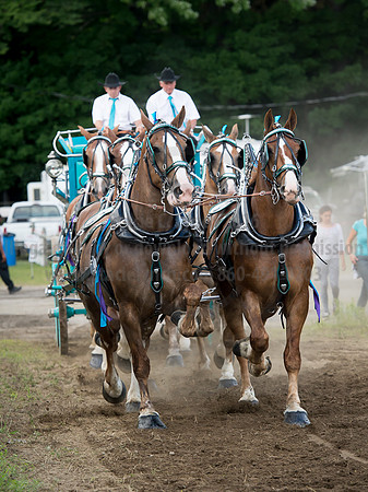 2016_Saratoga_SCL_4794