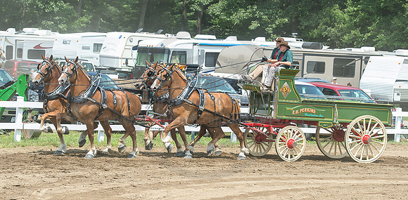 2016_Saratoga_SCL_5104
