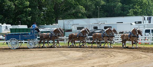 2016_Saratoga_SCL_5021