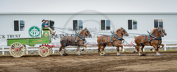 2016_Saratoga_SCL_4832