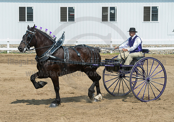 2016_Saratoga_SCL_5230