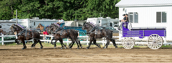 2016_Saratoga_SCL_4770