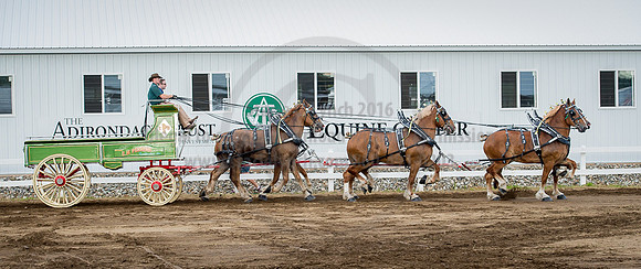 2016_Saratoga_SCL_4830