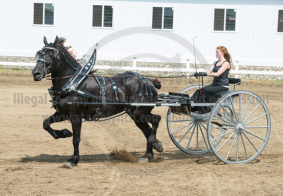 2016_Saratoga_SCL_5190