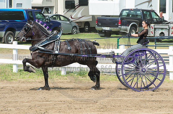 2016_Saratoga_SCL_5250