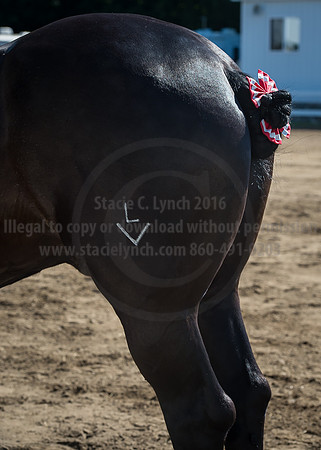 2016_Saratoga_SCL_4944