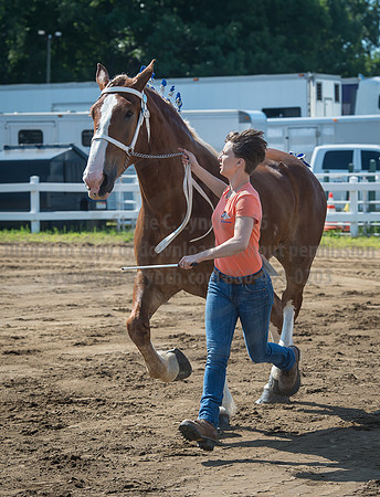 2016_Saratoga_SCL_4967