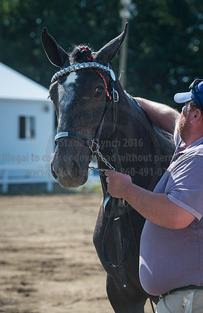 2016_Saratoga_SCL_4957