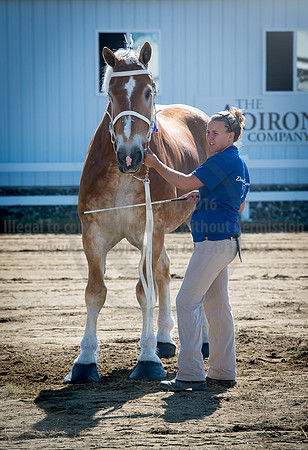 2016_Saratoga_SCL_4937