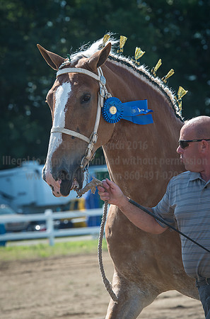 2016_Saratoga_SCL_4972