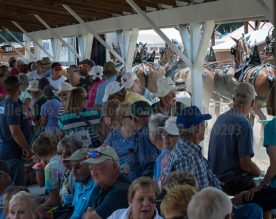 2016_Saratoga_SCL_4987