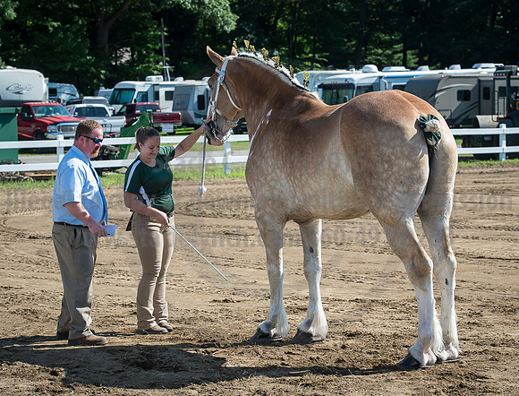 2016_Saratoga_SCL_4941