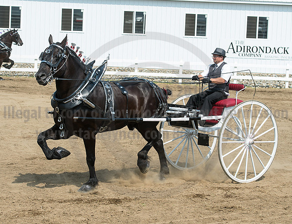 2016_Saratoga_SCL_5232