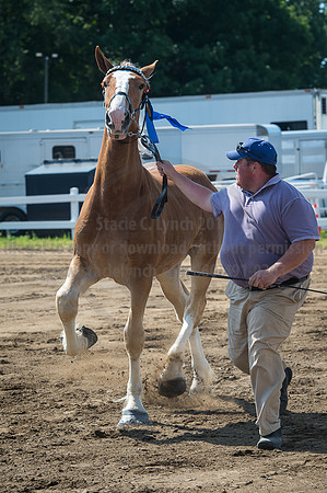 2016_Saratoga_SCL_4974